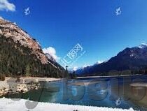 微信公众号炸金花-微信公众号炸金花，一场数字时代的娱乐新宠